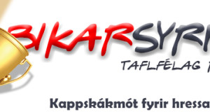 BikarsyrpanBanner_generic