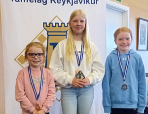 KVK_flokkur